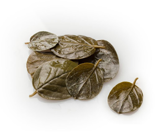 Cypriot Caper Leaves 500g
